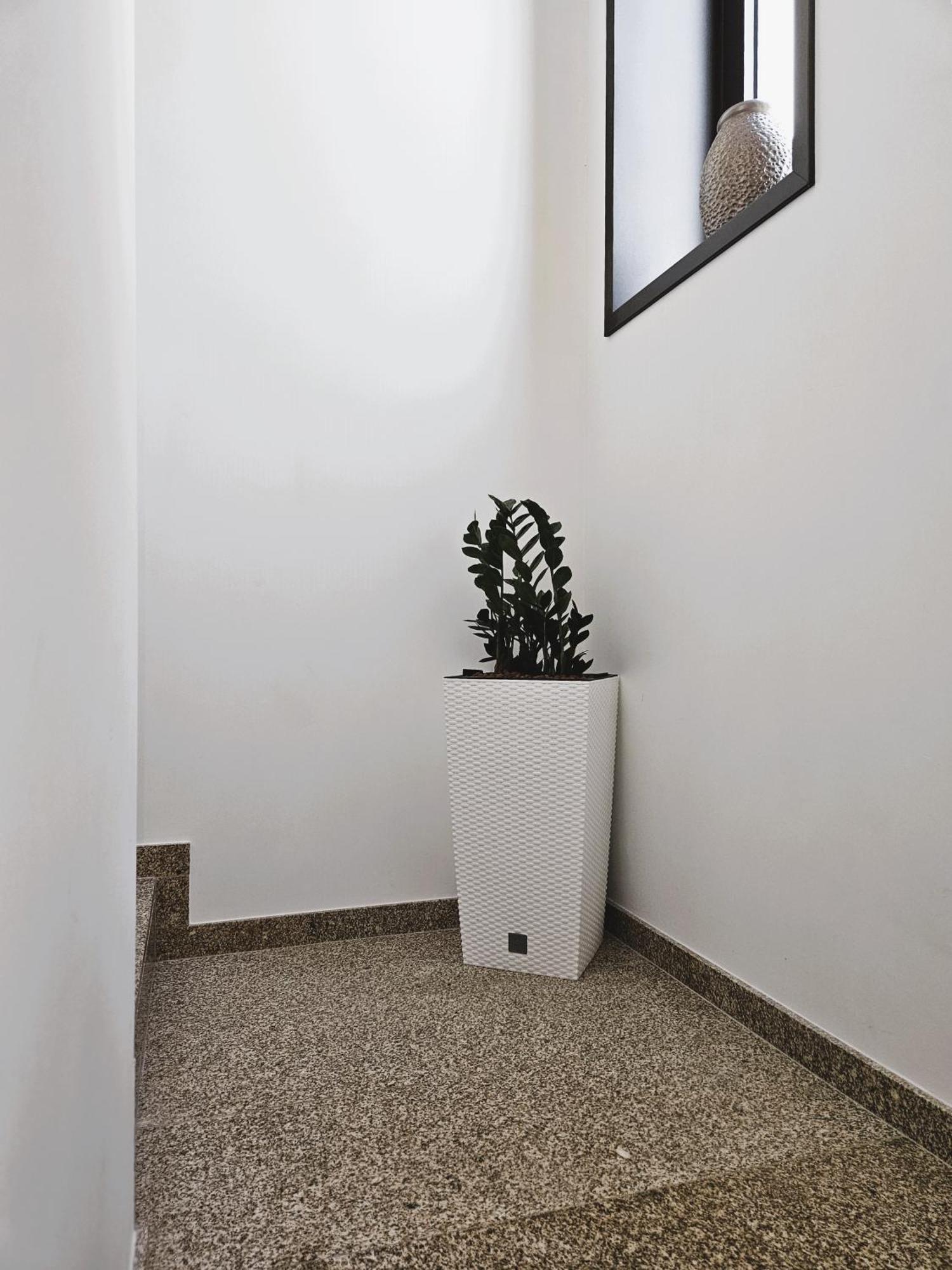 Appartamento Casa Do Moinho Cabeceiras de Basto Esterno foto